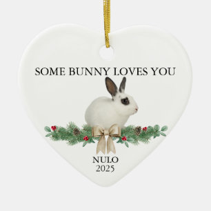 Bunny Ornament Rabbit Photo Pet Christmas Bunny 