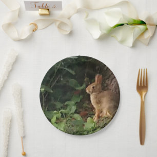 Bunny Paper Plate - for the rabbit & nature lover
