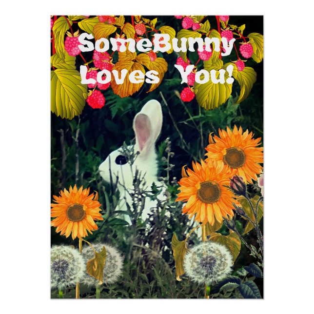 Bunny Rabbit Animal Wildlife  Poster (Front)