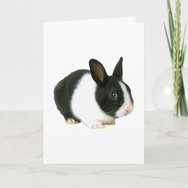 Bunny Rabbit Black & White Card (Front)