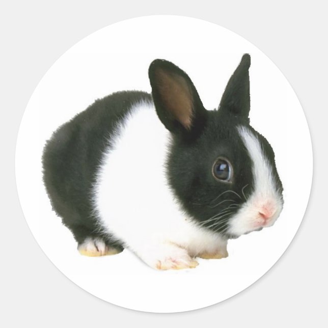 Bunny Rabbit Black & White Classic Round Sticker (Front)