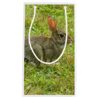Bunny Rabbit Gift Bag