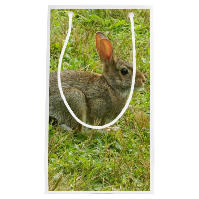 Bunny Rabbit Gift Bag (Front)