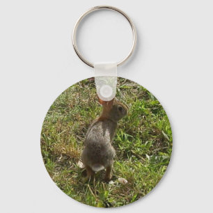 Bunny Rabbit Hare Stuff Key Ring