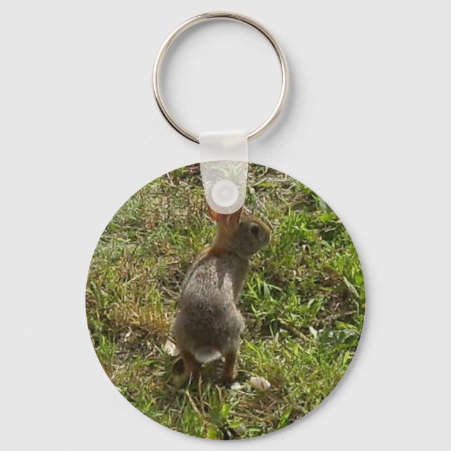 Bunny Rabbit Hare Stuff Key Ring (Front)