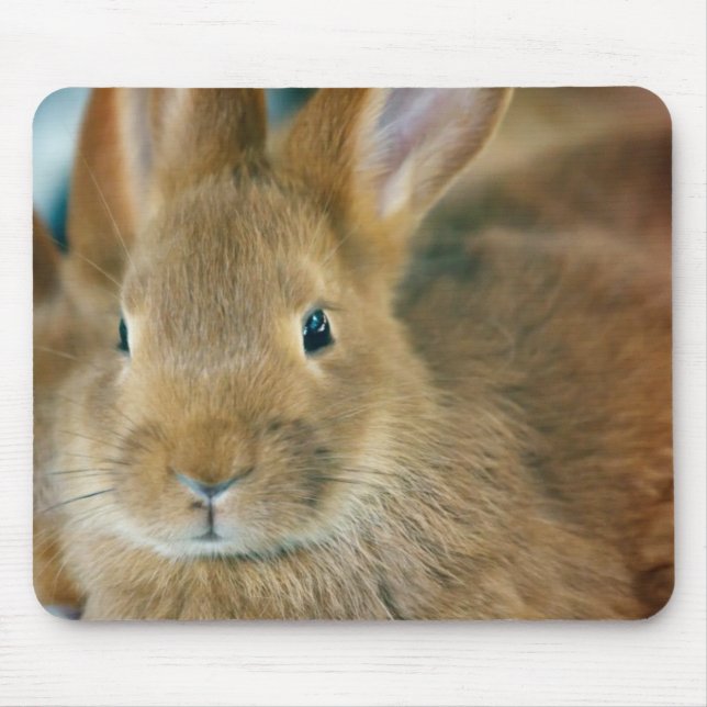 Bunny Rabbit Mouse Pad (Front)