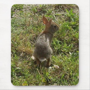 Bunny Rabbit Mouse Pad