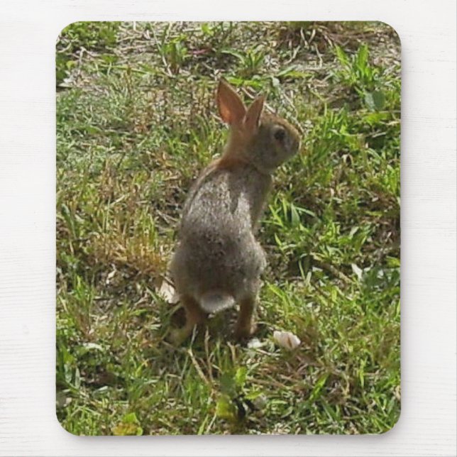 Bunny Rabbit Mouse Pad (Front)