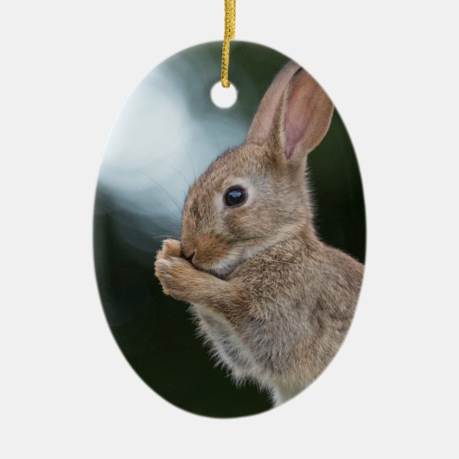 Bunny Rabbit Nature Photo Ceramic Ornament (Front)