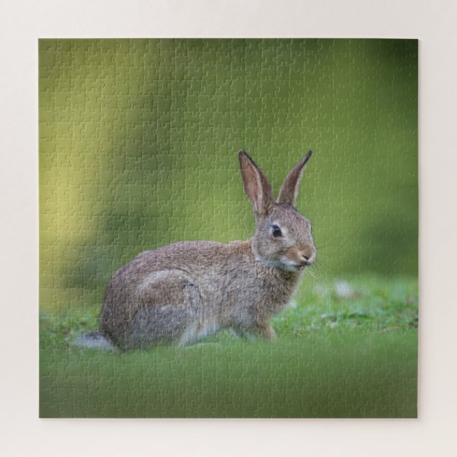 Bunny Rabbit Nature Photo Jigsaw Puzzle (Vertical)
