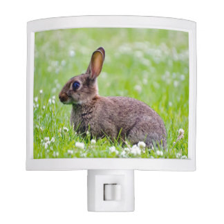 Bunny Rabbit Night Lights