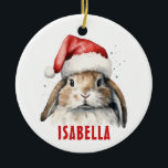 Bunny Rabbit Personalised Christmas Ornament<br><div class="desc">Bunny Rabbit Personalised Christmas Ornament</div>