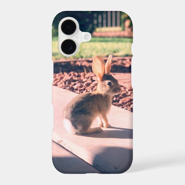 bunny rabbit photo Easter spring (Back)