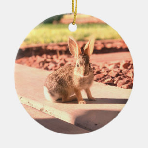 bunny rabbit photo Easter spring Ceramic Ornament