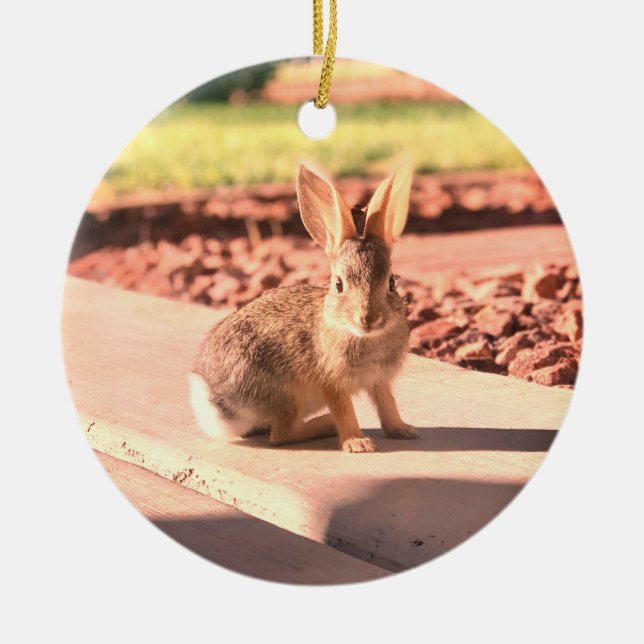 bunny rabbit photo Easter spring Ceramic Ornament (Front)