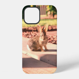 bunny rabbit photo Easter spring iPhone 12 Case