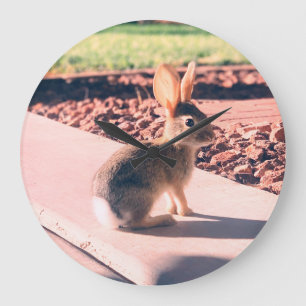 bunny rabbit photo Easter spring Large Clock