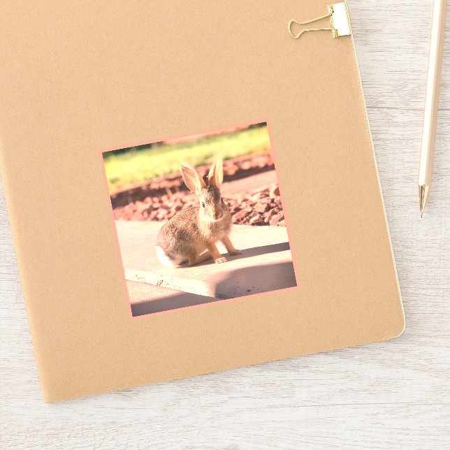 bunny rabbit photo Easter spring Sticker (Notebook)