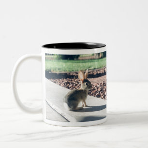 bunny rabbit photo Easter spring Two-Tone Coffee Mug