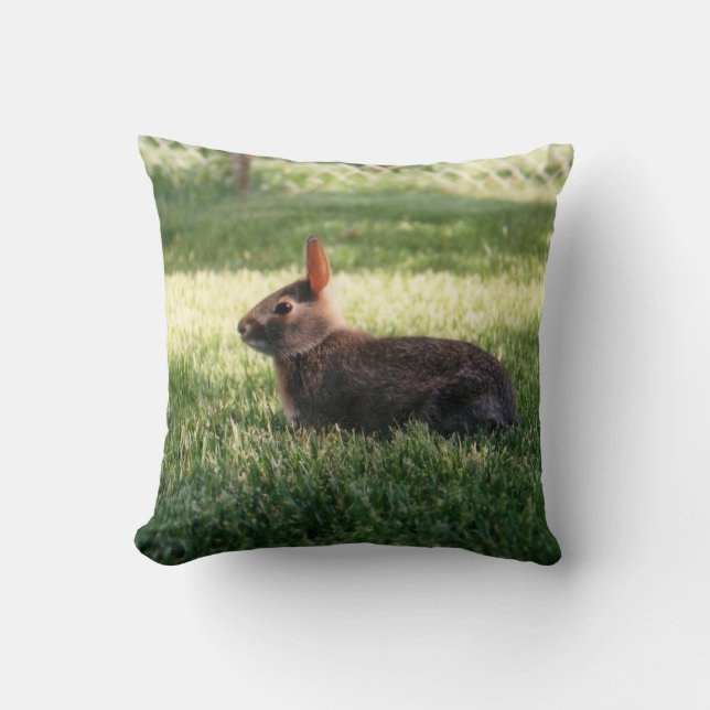 Bunny Rabbit Pillow (Front)
