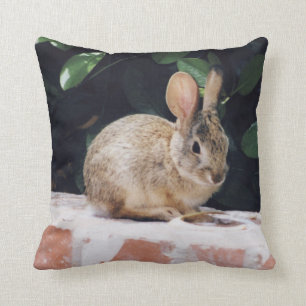 Bunny rabbit pillow