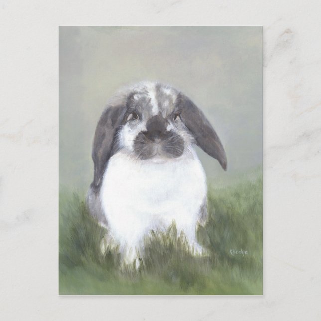 Bunny Rabbit Postcard (Front)