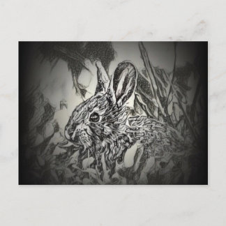 Bunny Rabbit Postcard - Yard Critters 