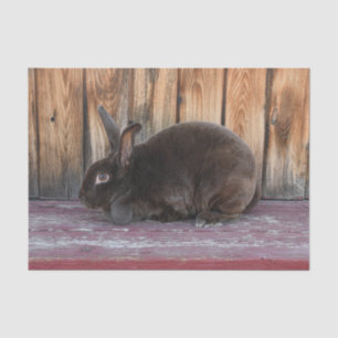 Bunny Rabbit Rustic Brown Country Farm Tissue Paper