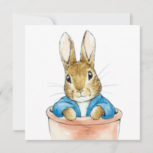 Bunny rabbit sitting in a pot