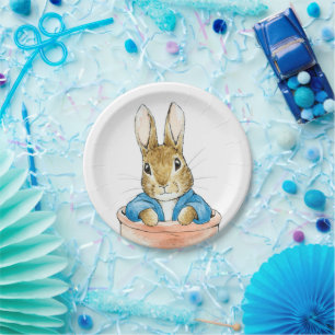 Bunny rabbit sitting in plant pot paper plate