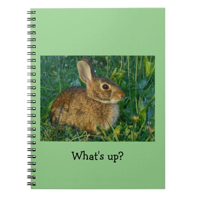 Bunny Rabbit Spiral Photo Notebook (Front)
