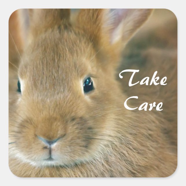 Bunny Rabbit Square Sticker (Front)