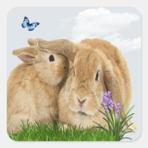 Bunny rabbit square sticker