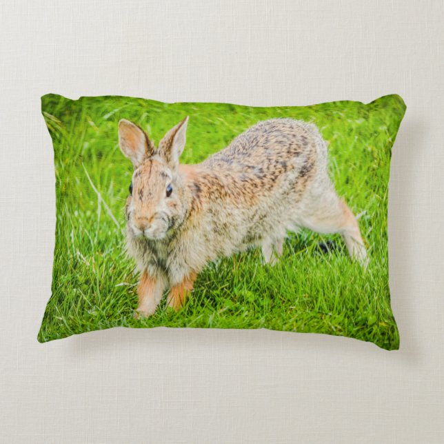 Bunny Rabbit Wildlife Green Nature Accent Pillow (Back)
