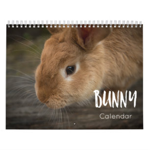 Bunny ( Rabbits ) 2023 Calendar