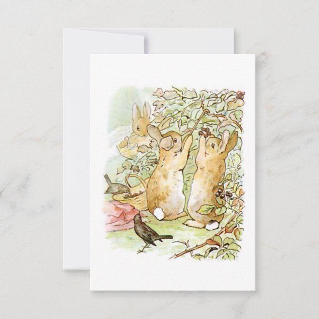 Bunny Rabbits: Blackberry Picking (Beatrix Potter) Card (Front)