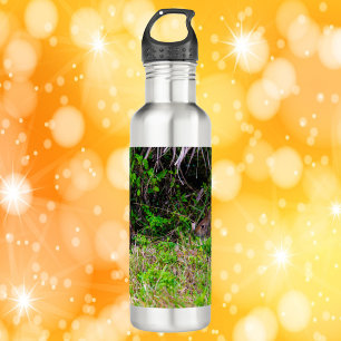 Bunny Rabbits in the Grass Florida 710 Ml Water Bottle