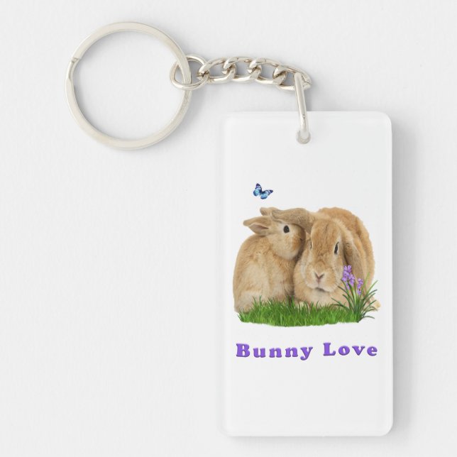 Bunny rabbitt key ring (Front)
