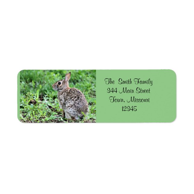 Bunny Return Address Label (Front)