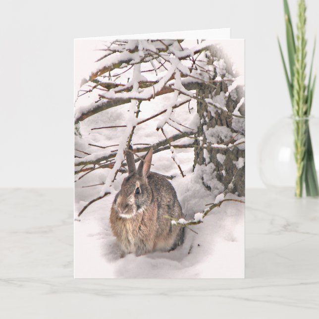 Bunny seeking shelter card (Front)