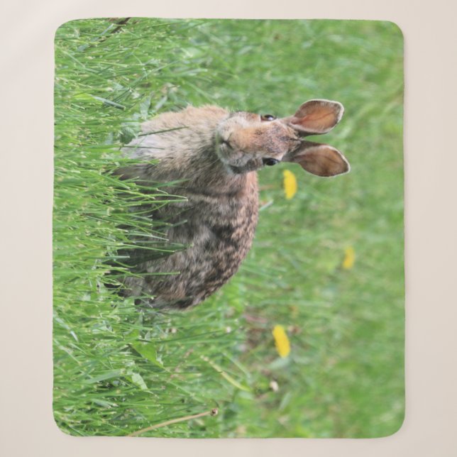 Bunny  sherpa blanket (Front)