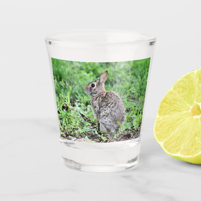 Bunny Shot Glass (Front)