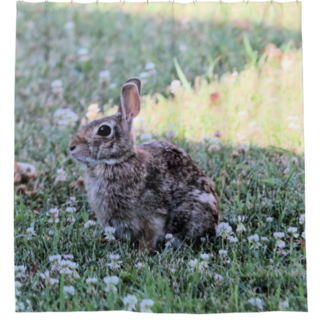 Bunny Shower Curtain (Front)