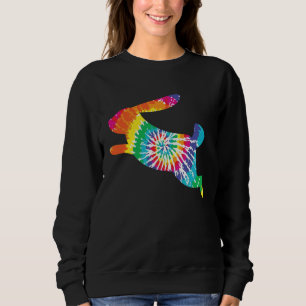 Bunny Spring Hunt Eggs Rabbit Happy Easter Day Sweatshirt