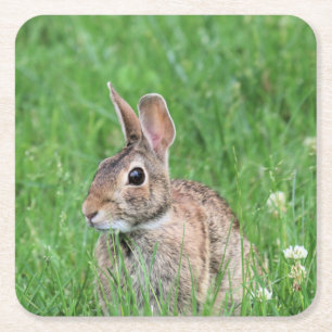 Bunny square paper coaster