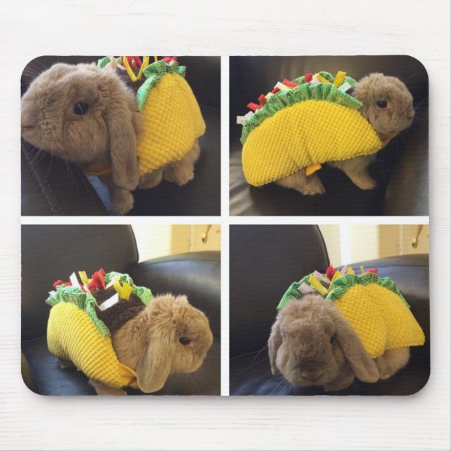 Bunny Taco Mousepad (Front)