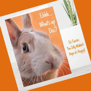 Bunny What's Up Doc? Silly Wabbit Easter Card