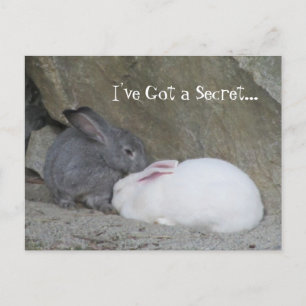Bunny Whisperer Postcard
