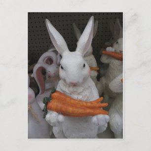 Bunny With Carrot Postcard