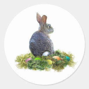Bunny with Coloured Eggs in Lichen Classic Round Sticker